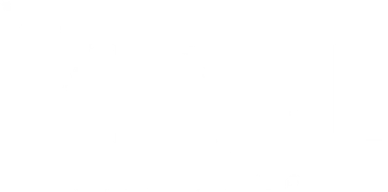 Salon Viral